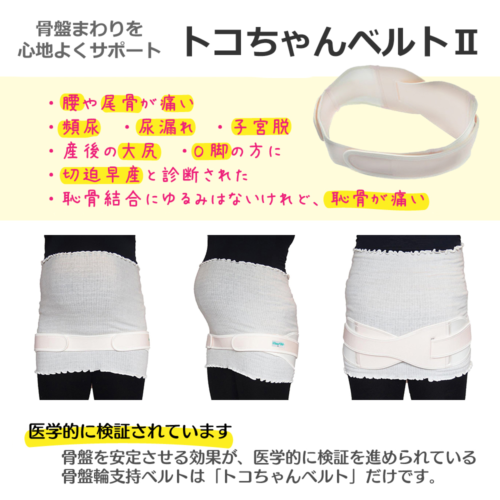 青葉 トコちゃんベルト