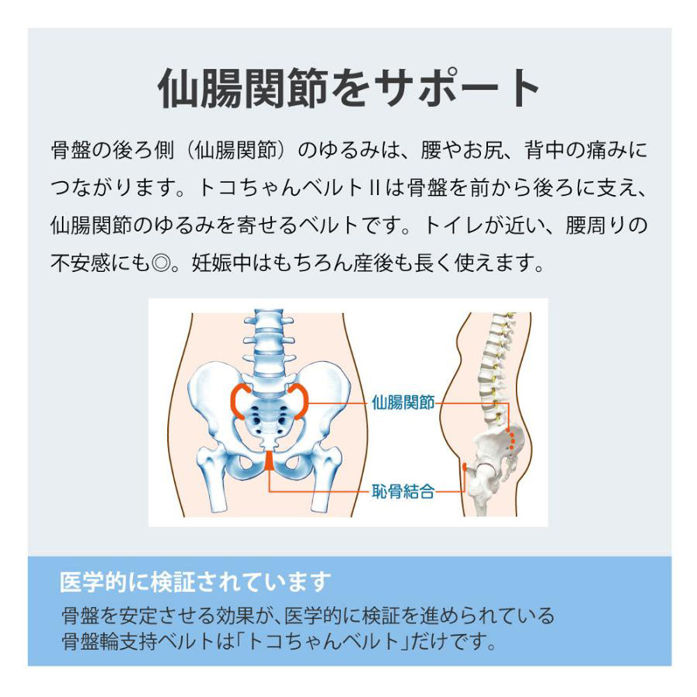 青葉 トコちゃんベルト